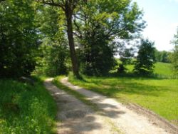 2013-06-08_Radtour_Iffeldorf-Aiderbichl (079).JPG